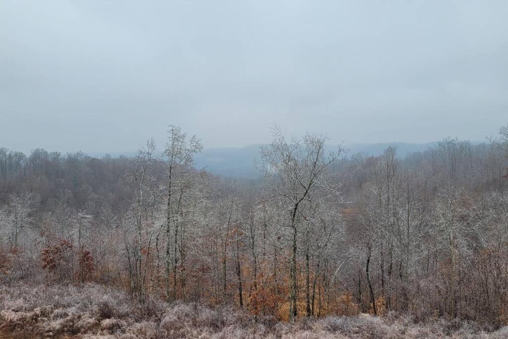 Ashland City Great Little Guest Suite With Private Entry & Deck! Pet Friendly & 30 Mins To Nashville! מראה חיצוני תמונה